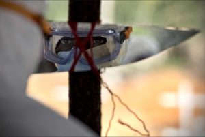 USAID U.S. Agency for International Development Seguir