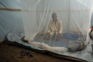 reportaje de mundo negro